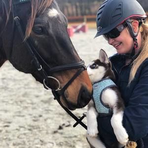 Meet your Posher, Ava